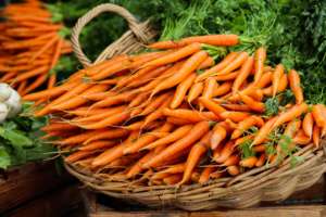 Carottes